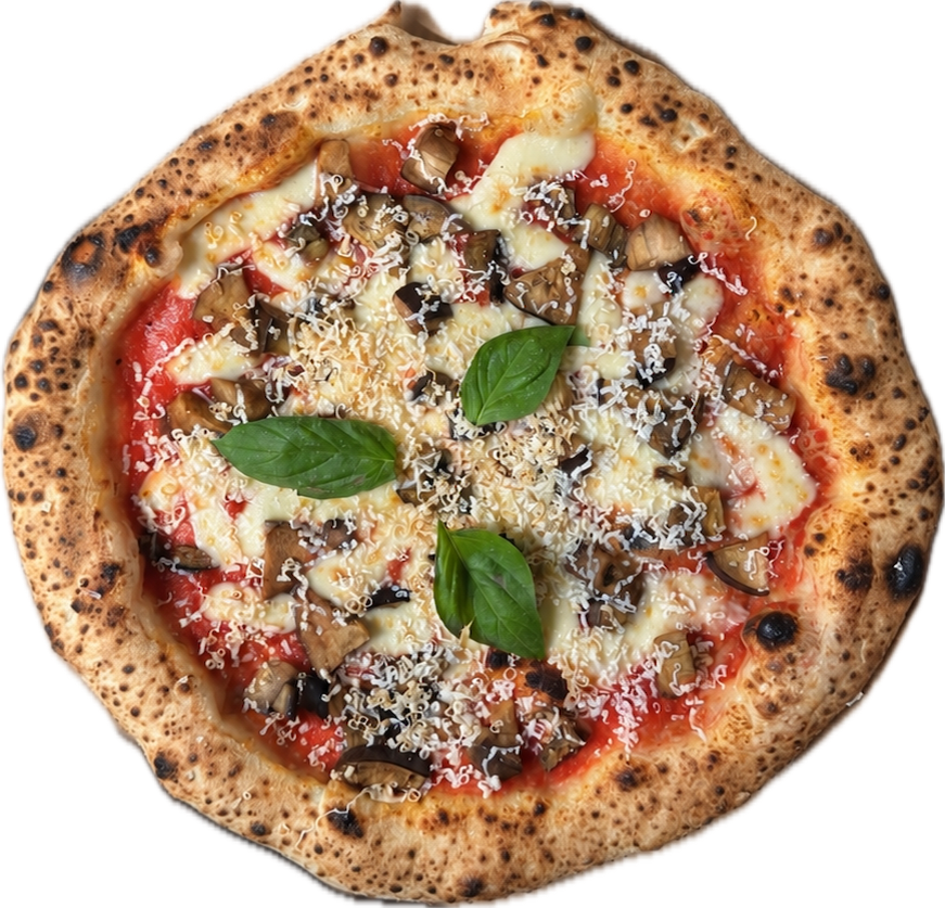 PARMIGIANA