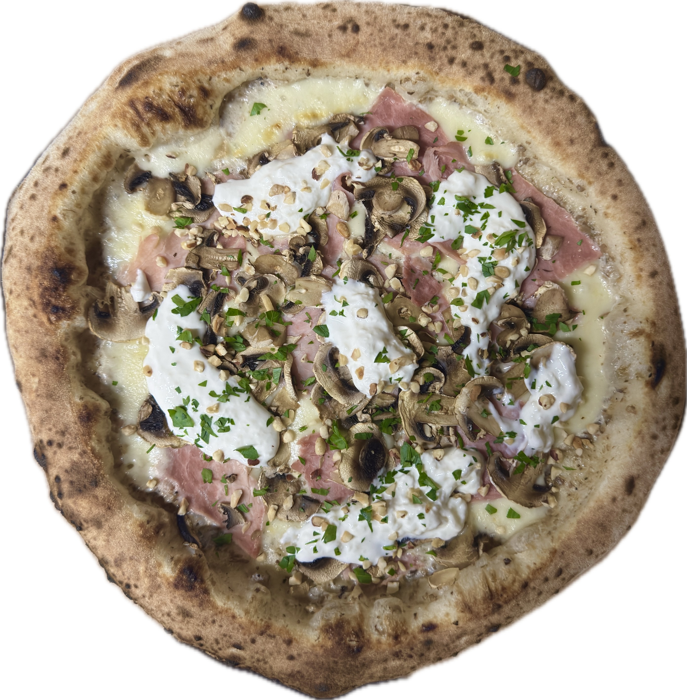 TARTUFO